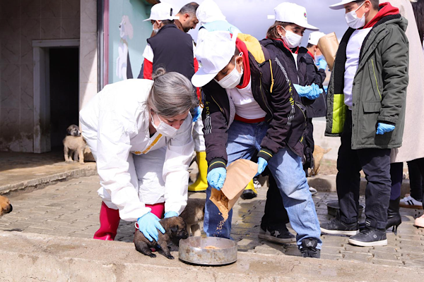 Van’da atıklar mamaya dönüşüyor<