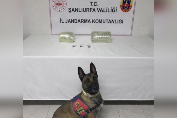Şanlıurfa 'da uyuşturucu operasyonu 