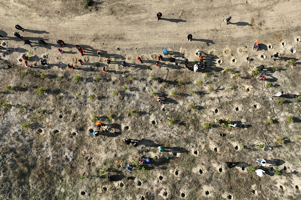 Mamak’ta fidanlar toprakla buluşturuldu<