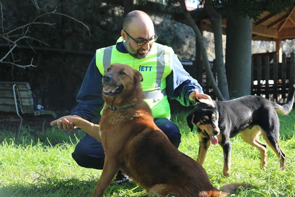 İETT, 4 sokak hayvanını sahiplendi<