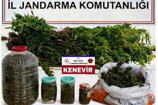 Ordu’da uyuşturucu operasyonu<