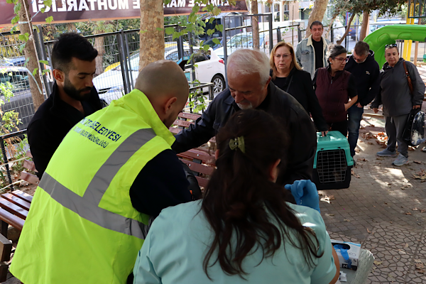 Maltepe’de sokak hayvanlarına yerinde tedavi hizmeti<