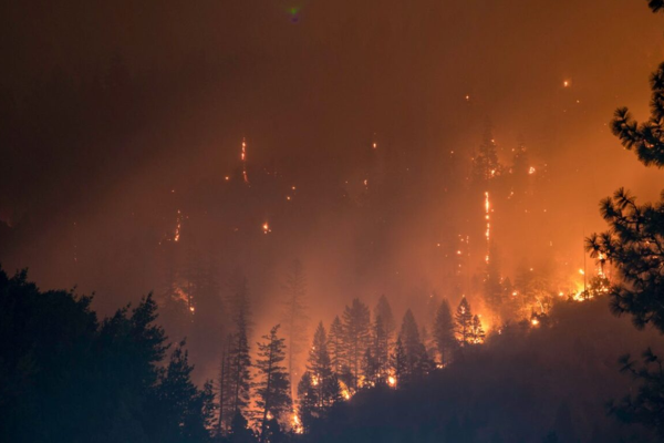 ABD'de bazı eyaletler, iklim felaketlerinin faturasını kirleticilerin ödemesini istiyor<