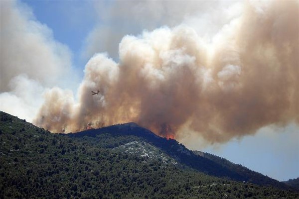 Manisa'da orman yangını