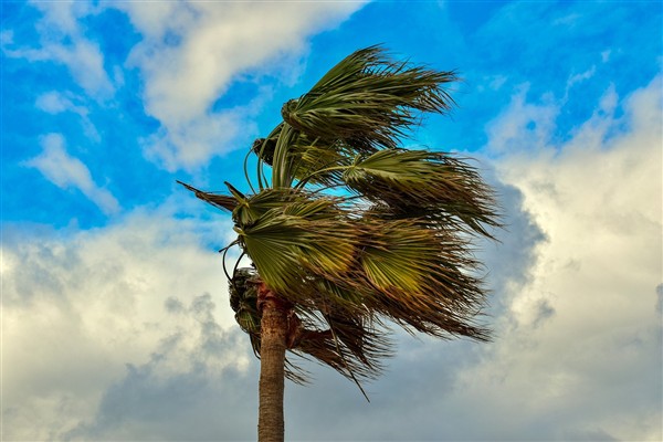 Meteoroloji'den kuvvetli rüzgar uyarısı <