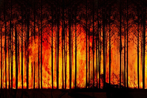 Enerjisa Enerji’den orman yangınlarını önleyecek erken tespit sistemi