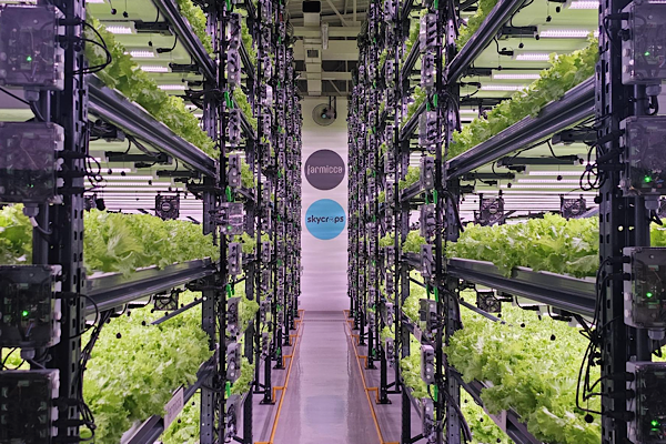 Farmicca’dan tarımda verimlilik ve teknoloji vurgusu<