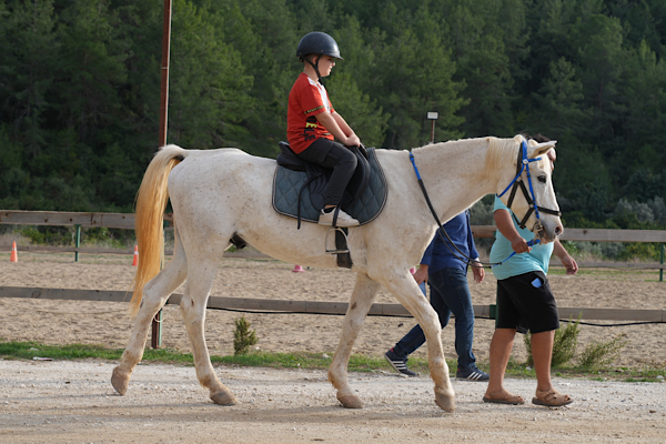 Alanya'da engelli bireylere binicilikle rehabilitasyon desteği<