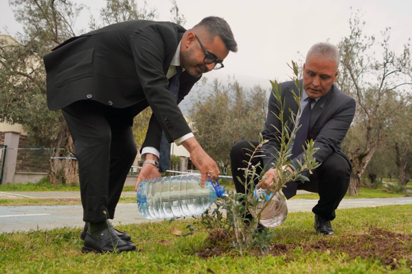Kar Spor İda Ultra öncesinde zeytin fidanları toprakla buluştu<