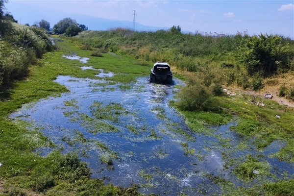 Bursa'da haşere ve sinek gibi canlılarla mücadele sürdürülüyor