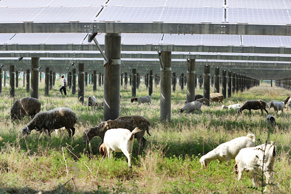 Alman ve İngiliz medyası: Çin, enerji krizinin en büyük kazananı oldu<