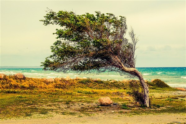 Orta ve Doğu Karadeniz’de kuvvetli rüzgar ve fırtına bekleniyor<