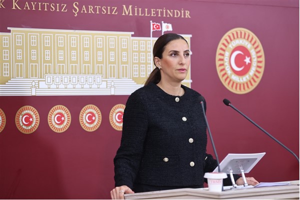 DEVA Partili Rızvanoğlu: Tunca kuruyor, iktidar seyrediyor