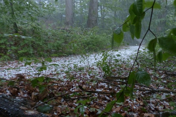 Meteoroloji’den kuvvetli yağış ve rüzgar uyarısı<