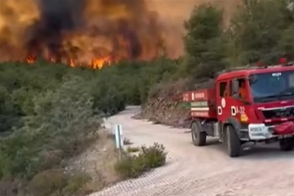 Hatay'daki orman yangınına ilişkin 1 gözaltı