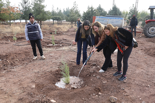 Diyarbakır’da 25 Kasım etkinliği