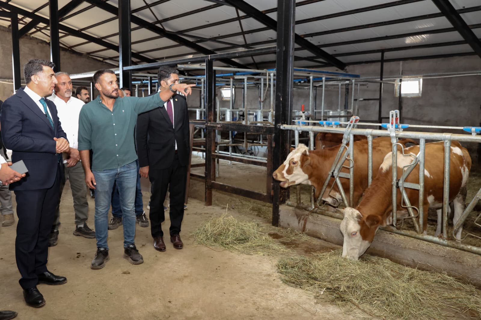 60 büyükbaş süt hayvanı kapasiteli modern tesis üretime katkı sağlıyor<