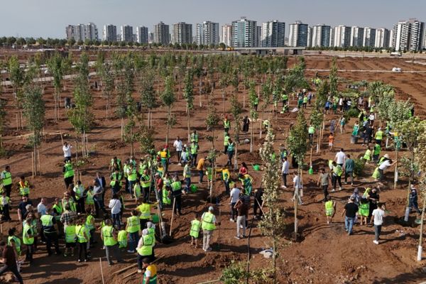 Diyarbakır’da binlerce fidan toprakla buluştu