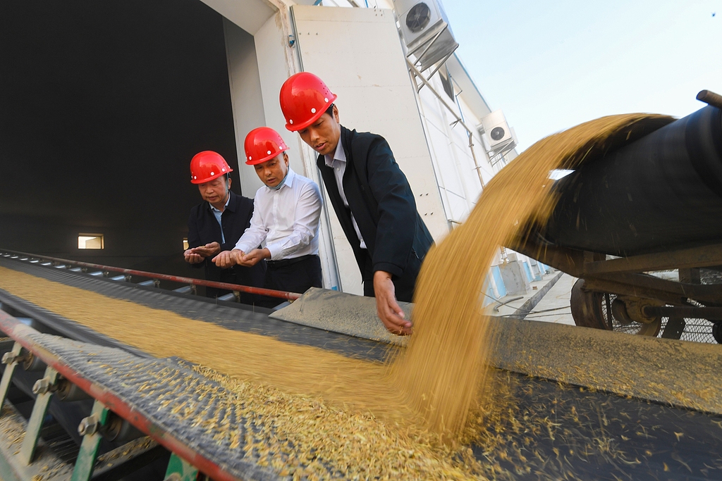 Çin’de satın alınan tahıl miktarı 345 milyon tona çıktı<