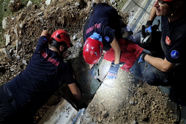 Mazgala düşen kayıp köpek ve yangında mahsur kalan kediler kurtarıldı