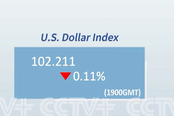 Dolar endeksi yüzde 0,11 geriledi<