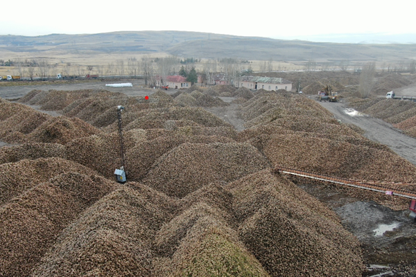 Sukkar Şeker 2025’te üretim hacmini güçlendirdi<