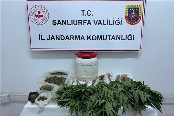 Suruç'ta uyuşturucu operasyonu