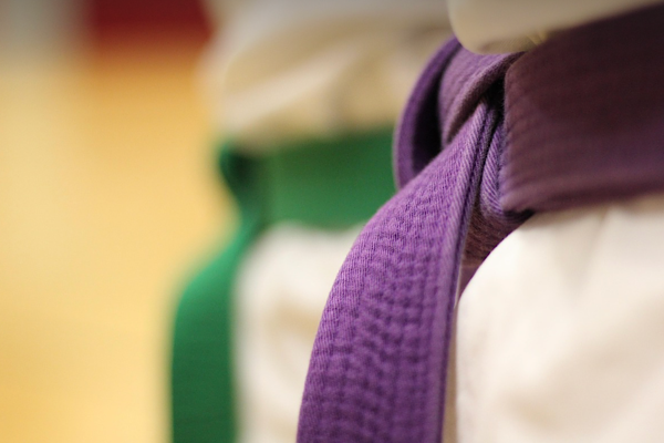Akgül, Dünya Taekwondo Şampiyonası’nda ikinci oldu<