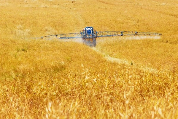 TÜRİB’de tarım ürünleri fiyatlarında haftalık yükseliş öne çıktı<
