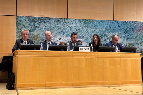 Bulgaristan, BM’de çocuk ve engelli haklarına yönelik politikalarını tanıttı
