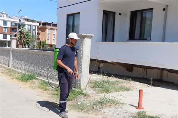 Yalova’da yabani otlar ilaçlanarak kurutuluyor<