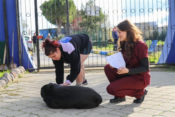 Buca Belediyesi’nden sokak hayvanlarını sahiplendirme çağrısı<
