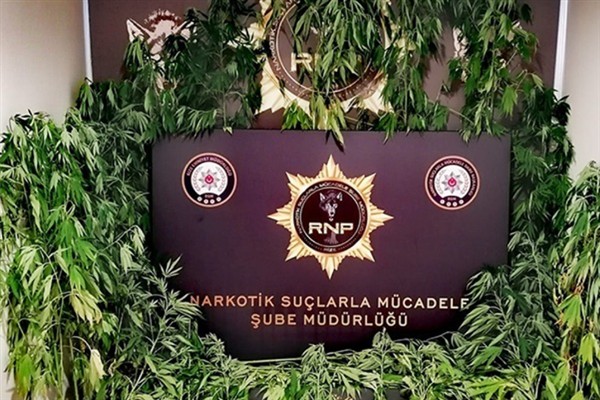 Rize’de uyuşturucu operasyonları 