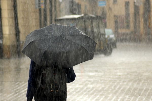 Meteoroloji’den uyarı: Yağış, rüzgar ve zirai dona dikkat<
