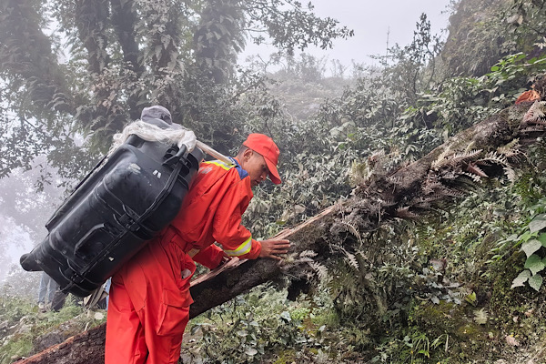 Wang Yi, Nepal Dışişleri Bakanı ile telefonda görüştü<