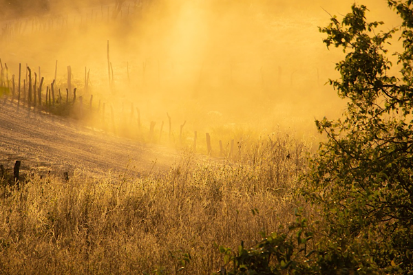 MGM: Marmara ve Ege’de toz taşınımı bekleniyor<