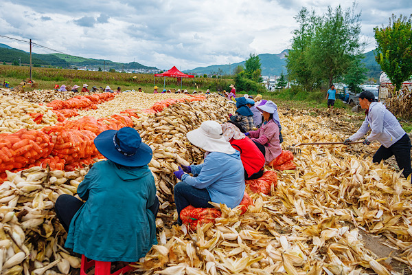 Çin’de köylülerin kişi başı geliri yüzde 6 arttı<