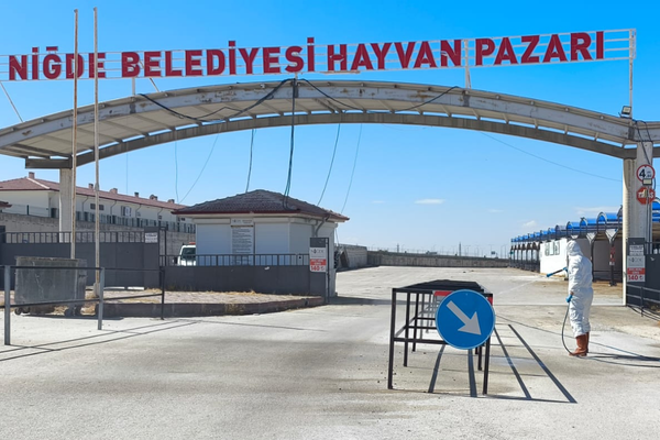 Niğde Canlı Hayvan Pazarı şap hastalığına karşı dezenfekte edildi