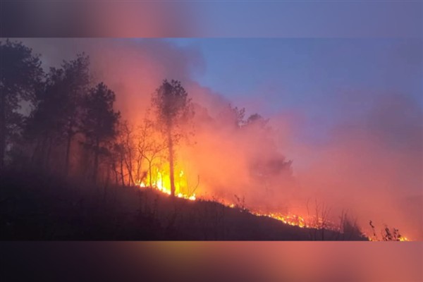 Hatay’da ormanlık alanda yangın