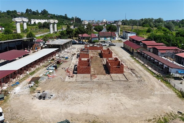 Ordu Büyükşehir'den sokak hayvanlarına modern yaşam alanı <