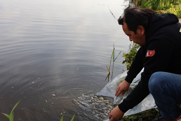 Eskişehir'de 5 bin aynalı sazan doğaya salındı