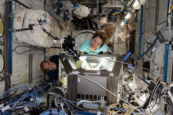NASA: Williams'ın uzay görevi kanser tedavisi araştırmalarına katkı sağladı<