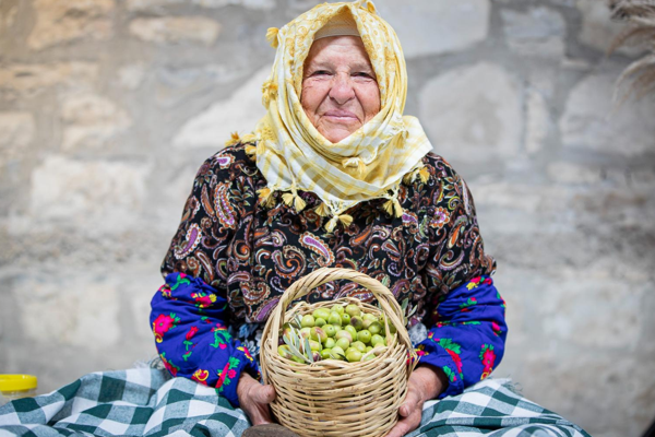Uluslararası Zeytin ve Sanat Festivali başladı<