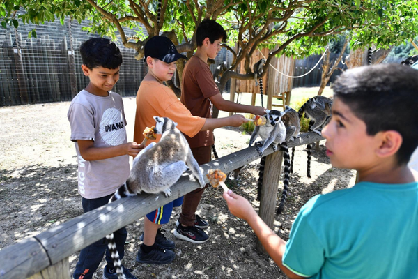 İzmir’de öğrencilere ücretsiz park<
