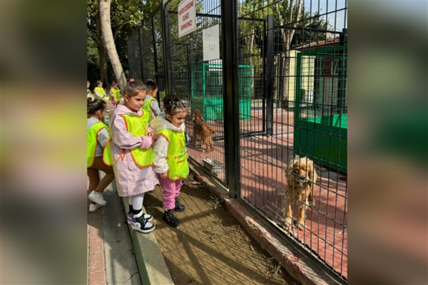 Osmangazi Sahipsiz Hayvanlar Doğal Yaşam ve Tedavi Merkezi, 2 bin 53 öğrenciyi ağırladı