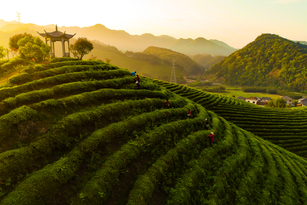 CGTN anketinden tarihi sonuç: Küresel yoksullukla mücadelede Çin’in kilit rolü<