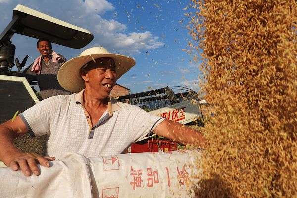 Çin’in tahıl üretimi iki yıldır 700 milyon tonun üzerinde seyrediyor<