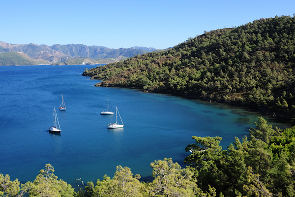 Marmaris, Avrupa’nın Yeşil Öncüleri arasında