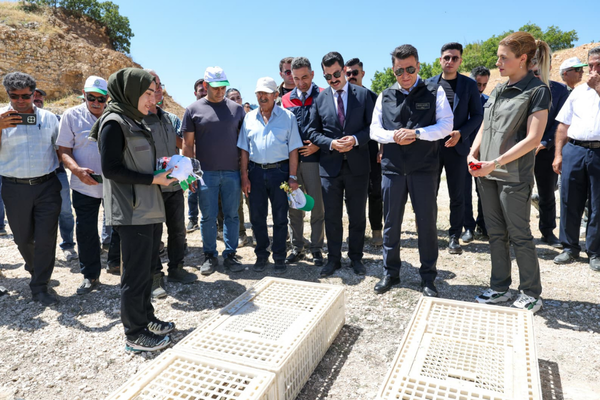Tunceli'de ilk modern sera tesisinin temeli atıldı