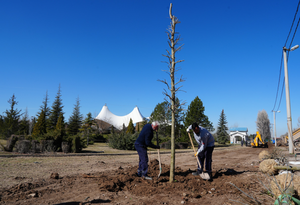 Sazova'da ağaçlandırma çalışmaları başladı<